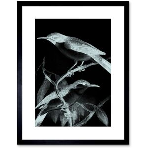 Artery8 Wall Art Print Birds Night Art Framed 9x7 inch in Black Size: W7" x H9" Black W7" x H9" Artery8 Wall Art Print Birds Night Art Framed 9x7 inch in Black Size: W7" x H9" Black W7" x H9"