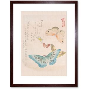 Artery8 Wall Art Print Kubo Shunman Moths & Butterflies Art Black Framed 9x7 inch in Brown Size: W7" x H9" Brown W7" x H9" Artery8 Wall Art Print Kubo Shunman Moths & Butterflies Art Black Framed 9x7 inch in Brown Size: W7" x H9" Brown W7" x H9"