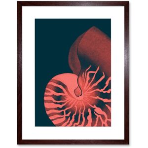 Artery8 Wall Art Print Pink Seashell Nautilus Artwork Framed 9X7 Inch in Brown Size: W7" x H9" Brown W7" x H9" Artery8 Wall Art Print Pink Seashell Nautilus Artwork Framed 9X7 Inch in Brown Size: W7" x H9" Brown W7" x H9"
