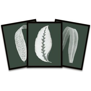 Wee Blue Coo Wall Art Print Botanics Hunter Green White Leaves Ferns Nature Black Framed Poster Pack of 3 Size: W12" x H16" Multicolor W12" x H16" Wee Blue Coo Wall Art Print Botanics Hunter Green White Leaves Ferns Nature Black Framed Poster Pack of 3 Size: W12" x H16" Multicolor W12" x H16"