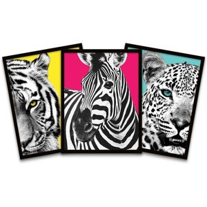 Wee Blue Coo Wall Art Print Tiger Zebra Leopard Animals Close Up Colourful Black Framed Poster Pack of 3 Size: W12" x H16" Multicolor W12" x H16" Wee Blue Coo Wall Art Print Tiger Zebra Leopard Animals Close Up Colourful Black Framed Poster Pack of 3 Size: W12" x H16" Multicolor W12" x H16"