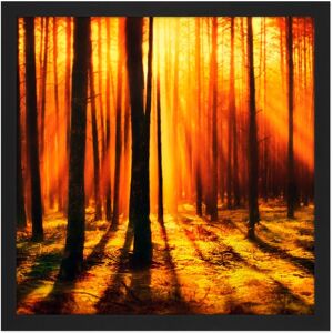 Artery8 Wall Art Print Forest Sunset Nature Photograph Square Framed Picture 16X16 Inch in Black Size: W16" x H16" Black W16" x H16" Artery8 Wall Art Print Forest Sunset Nature Photograph Square Framed Picture 16X16 Inch in Black Size: W16" x H16" Black W16" x H16"
