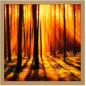 Artery8 Wall Art Print Forest Sunset Nature Photograph Square Framed Picture 16X16 Inch in Light Oak Size: W16" x H16" Light Oak W16" x H16" Artery8 Wall Art Print Forest Sunset Nature Photograph Square Framed Picture 16X16 Inch in Light Oak Size: W16" x H16" Light Oak W16" x H16"