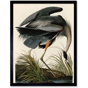 Artery8 Wall Art Print Audubon Birds of America Great Blue Heron Coastal Bird Portrait Art Framed in Beige Size: W12" x H16" Beige W12" x H16" Artery8 Wall Art Print Audubon Birds of America Great Blue Heron Coastal Bird Portrait Art Framed in Beige Size: W12" x H16" Beige W12" x H16"