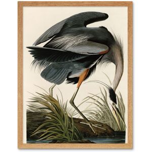Artery8 Wall Art Print Audubon Birds of America Great Blue Heron Coastal Bird Portrait Art Framed in Light Oak Size: W12" x H16" Light Oak W12" x H16" Artery8 Wall Art Print Audubon Birds of America Great Blue Heron Coastal Bird Portrait Art Framed in Light Oak Size: W12" x H16" Light Oak W12" x H16"