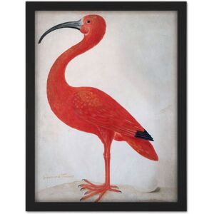 Artery8 Wall Art Print Merian Scarlet Ibis With Egg Nature Bird Painting Large Framed Wall Décor Art in White Size: W18" x H24" White W18" x H24" Artery8 Wall Art Print Merian Scarlet Ibis With Egg Nature Bird Painting Large Framed Wall Décor Art in White Size: W18" x H24" White W18" x H24"