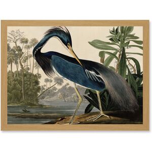 Artery8 Audubon Birds Louisiana Blue Heron Painting A4 Artwork Framed Wall Art Print in Light Oak Light Oak Artery8 Audubon Birds Louisiana Blue Heron Painting A4 Artwork Framed Wall Art Print in Light Oak Light Oak