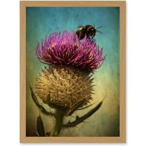 Artery8 - Bumble Bee Thistle Flower Scotland - Wall Art Print Artery8 - Bumble Bee Thistle Flower Scotland - Wall Art Print
