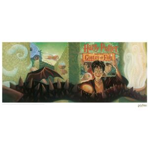 Harry Potter The Goblet of Fire Book Cover Artwork Limited Edition Art Print in Green Size: A3 Green A3 Harry Potter The Goblet of Fire Book Cover Artwork Limited Edition Art Print in Green Size: A3 Green A3