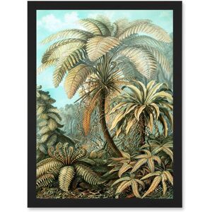 Artery8 Nature Biology Ferns Ernst Haeckel botanical Vintage Artwork Framed Wall Art Print A4 in Black Black Artery8 Nature Biology Ferns Ernst Haeckel botanical Vintage Artwork Framed Wall Art Print A4 in Black Black