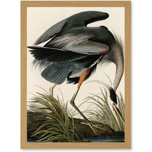 Artery8 - Audubon Birds Great Blue Heron - A4 - Light Oak - Framed Wall Art Artery8 - Audubon Birds Great Blue Heron - A4 - Light Oak - Framed Wall Art