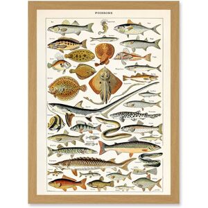 Artery8 Millot Encyclopedia - size A4 - frame light oak - Framed Art Print Artery8 Millot Encyclopedia - size A4 - frame light oak - Framed Art Print