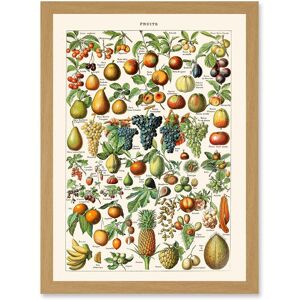 Artery8 Millot Encyclopedia vintage Fruit Grape Pineapple Nature Artwork Framed Wall Art Print A4 in Light Oak Light Oak Artery8 Millot Encyclopedia vintage Fruit Grape Pineapple Nature Artwork Framed Wall Art Print A4 in Light Oak Light Oak
