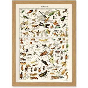 Artery8 Millot Encyclopedia - A4 - Framed - Art Print Artery8 Millot Encyclopedia - A4 - Framed - Art Print