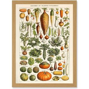 Artery8 Millot Encyclopedia vintage Vegetables Legumes Nature Artwork Framed Wall Art Print A4 in Light Oak Light Oak Artery8 Millot Encyclopedia vintage Vegetables Legumes Nature Artwork Framed Wall Art Print A4 in Light Oak Light Oak