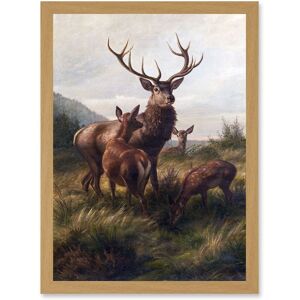 Artery8 Deiker Stag Deer Antlers Doe Animal Nature Painting Artwork Framed Wall Art Print A4 in Light Oak Light Oak Artery8 Deiker Stag Deer Antlers Doe Animal Nature Painting Artwork Framed Wall Art Print A4 in Light Oak Light Oak