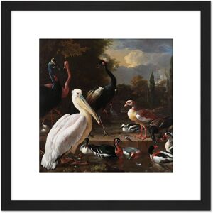 Artery8 Hondecoeter Pelican Birds Pool Floating Feather 8X8 Inch Square Wooden Framed Wall Art Print Picture with Mount in Black Black Artery8 Hondecoeter Pelican Birds Pool Floating Feather 8X8 Inch Square Wooden Framed Wall Art Print Picture with Mount in Black Black