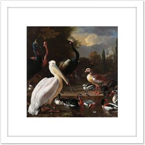 Artery8 Hondecoeter Pelican Birds Pool Floating Feather 8X8 Inch Square Wooden Framed Wall Art Print Picture with Mount in White White Artery8 Hondecoeter Pelican Birds Pool Floating Feather 8X8 Inch Square Wooden Framed Wall Art Print Picture with Mount in White White