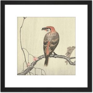 Artery8 Ohara Koson Crossbill On Tree Branch Japan 8X8 Inch Square Wooden Framed Wall Art Print Picture with Mount in Black Black Artery8 Ohara Koson Crossbill On Tree Branch Japan 8X8 Inch Square Wooden Framed Wall Art Print Picture with Mount in Black Black