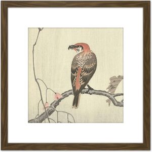 Artery8 Ohara Koson Crossbill On Tree Branch Japan 8X8 Inch Square Wooden Framed Wall Art Print Picture with Mount in Brown Brown Artery8 Ohara Koson Crossbill On Tree Branch Japan 8X8 Inch Square Wooden Framed Wall Art Print Picture with Mount in Brown Brown
