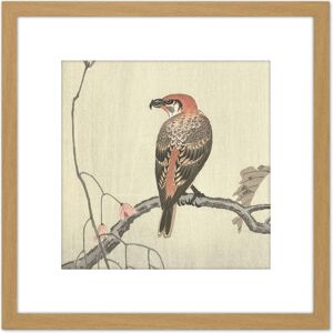 Artery8 Ohara Koson Crossbill On Tree Branch Japan 8X8 Inch Square Wooden Framed Wall Art Print Picture with Mount in Light Oak Light Oak Artery8 Ohara Koson Crossbill On Tree Branch Japan 8X8 Inch Square Wooden Framed Wall Art Print Picture with Mount in Light Oak Light Oak