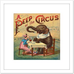 Artery8 McLoughlin Book Cover Circus 1887 Elephant Clown 8X8 Inch Square Wooden Framed Wall Art Print Picture with Mount in White White Artery8 McLoughlin Book Cover Circus 1887 Elephant Clown 8X8 Inch Square Wooden Framed Wall Art Print Picture with Mount in White White