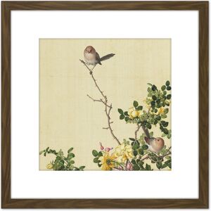 Artery8 Castiglione Canary Rose Bird Painting 8X8 Inch Square Wooden Framed Wall Art Print Picture with Mount in Brown Brown Artery8 Castiglione Canary Rose Bird Painting 8X8 Inch Square Wooden Framed Wall Art Print Picture with Mount in Brown Brown