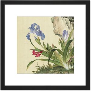 Artery8 Castiglione Iris Flower Plant Painting 8X8 Inch Square Wooden Framed Wall Art Print Picture with Mount in Black Black Artery8 Castiglione Iris Flower Plant Painting 8X8 Inch Square Wooden Framed Wall Art Print Picture with Mount in Black Black