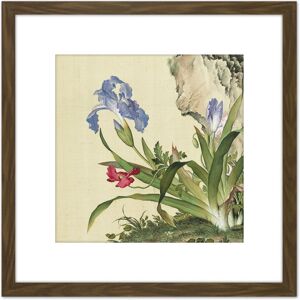 Artery8 Castiglione Iris Flower Plant Painting 8X8 Inch Square Wooden Framed Wall Art Print Picture with Mount in Brown Brown Artery8 Castiglione Iris Flower Plant Painting 8X8 Inch Square Wooden Framed Wall Art Print Picture with Mount in Brown Brown