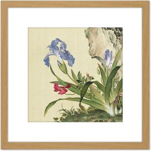 Artery8 Castiglione Iris Flower Plant Painting 8X8 Inch Square Wooden Framed Wall Art Print Picture with Mount in Light Oak Light Oak Artery8 Castiglione Iris Flower Plant Painting 8X8 Inch Square Wooden Framed Wall Art Print Picture with Mount in Light Oak Light Oak