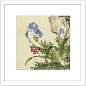 Artery8 Castiglione Iris Flower Plant Painting 8X8 Inch Square Wooden Framed Wall Art Print Picture with Mount in White White Artery8 Castiglione Iris Flower Plant Painting 8X8 Inch Square Wooden Framed Wall Art Print Picture with Mount in White White