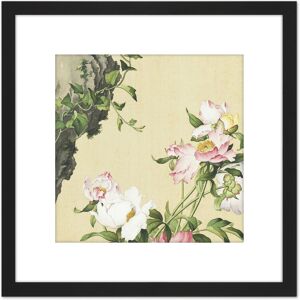 Artery8 Castiglione Paeonia Flower Plant Painting 8X8 Inch Square Wooden Framed Wall Art Print Picture with Mount in Black Black Artery8 Castiglione Paeonia Flower Plant Painting 8X8 Inch Square Wooden Framed Wall Art Print Picture with Mount in Black Black