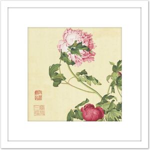 Artery8 Castiglione Peonies Flower Plant Painting 8X8 Inch Square Wooden Framed Wall Art Print Picture with Mount in White White Artery8 Castiglione Peonies Flower Plant Painting 8X8 Inch Square Wooden Framed Wall Art Print Picture with Mount in White White