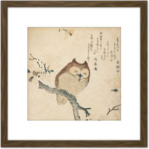Artery8 Horned Owl Flowering Branch Kubo Shunman 8X8 Inch Square Wooden Framed Wall Art Print Picture with Mount in Brown Brown Artery8 Horned Owl Flowering Branch Kubo Shunman 8X8 Inch Square Wooden Framed Wall Art Print Picture with Mount in Brown Brown
