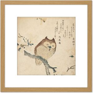 Artery8 Horned Owl Flowering Branch Kubo Shunman 8X8 Inch Square Wooden Framed Wall Art Print Picture with Mount in Light Oak Light Oak Artery8 Horned Owl Flowering Branch Kubo Shunman 8X8 Inch Square Wooden Framed Wall Art Print Picture with Mount in Light Oak Light Oak