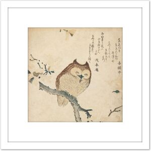 Artery8 Horned Owl Flowering Branch Kubo Shunman 8X8 Inch Square Wooden Framed Wall Art Print Picture with Mount in White White Artery8 Horned Owl Flowering Branch Kubo Shunman 8X8 Inch Square Wooden Framed Wall Art Print Picture with Mount in White White