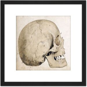 Artery8 Landseer Human Skull Side View Anatomy Diagram 8X8 Inch Square Wooden Framed Wall Art Print Picture with Mount in Black Black Artery8 Landseer Human Skull Side View Anatomy Diagram 8X8 Inch Square Wooden Framed Wall Art Print Picture with Mount in Black Black