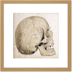Artery8 Landseer Human Skull Side View Anatomy Diagram 8X8 Inch Square Wooden Framed Wall Art Print Picture with Mount in Light Oak Light Oak Artery8 Landseer Human Skull Side View Anatomy Diagram 8X8 Inch Square Wooden Framed Wall Art Print Picture with Mount in Light Oak Light Oak