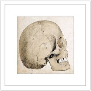 Artery8 Landseer Human Skull Side View Anatomy Diagram 8X8 Inch Square Wooden Framed Wall Art Print Picture with Mount in White White Artery8 Landseer Human Skull Side View Anatomy Diagram 8X8 Inch Square Wooden Framed Wall Art Print Picture with Mount in White White