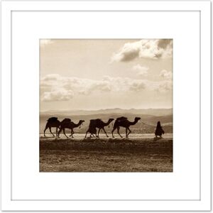 Artery8 Photo Egyptian Camel Train Caravan Desert Panorama 8X8 Inch Square Wooden Framed Wall Art Print Picture with Mount in White White Artery8 Photo Egyptian Camel Train Caravan Desert Panorama 8X8 Inch Square Wooden Framed Wall Art Print Picture with Mount in White White
