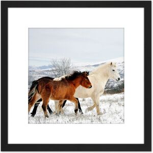 Artery8 Aljabakphoto Horses Sar Mountains Kosovo Photo 8X8 Inch Square Wooden Framed Wall Art Print Picture with Mount in Black Black Artery8 Aljabakphoto Horses Sar Mountains Kosovo Photo 8X8 Inch Square Wooden Framed Wall Art Print Picture with Mount in Black Black