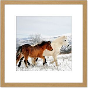 Artery8 Aljabakphoto Horses Sar Mountains Kosovo Photo 8X8 Inch Square Wooden Framed Wall Art Print Picture with Mount in Light Oak Light Oak Artery8 Aljabakphoto Horses Sar Mountains Kosovo Photo 8X8 Inch Square Wooden Framed Wall Art Print Picture with Mount in Light Oak Light Oak