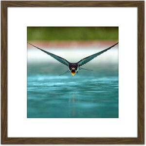 Artery8 Sanchezn Swallow Bird Drinking Swimming Pool Photo 8X8 Inch Square Wooden Framed Wall Art Print Picture with Mount in Brown Brown Artery8 Sanchezn Swallow Bird Drinking Swimming Pool Photo 8X8 Inch Square Wooden Framed Wall Art Print Picture with Mount in Brown Brown