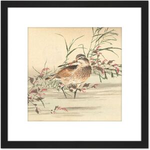 Artery8 Kono Bairei Stream Bird Japan Woodblock 8X8 Inch Square Wooden Framed Wall Art Print Picture with Mount in Black Black Artery8 Kono Bairei Stream Bird Japan Woodblock 8X8 Inch Square Wooden Framed Wall Art Print Picture with Mount in Black Black