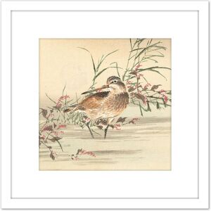 Artery8 Kono Bairei Stream Bird Japan Woodblock 8X8 Inch Square Wooden Framed Wall Art Print Picture with Mount in White White Artery8 Kono Bairei Stream Bird Japan Woodblock 8X8 Inch Square Wooden Framed Wall Art Print Picture with Mount in White White