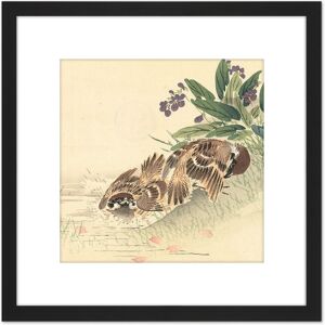 Artery8 Kono Bairei Bathing Tree Sparrow Japan Woodblock 8X8 Inch Square Wooden Framed Wall Art Print Picture with Mount in Black Black Artery8 Kono Bairei Bathing Tree Sparrow Japan Woodblock 8X8 Inch Square Wooden Framed Wall Art Print Picture with Mount in Black Black