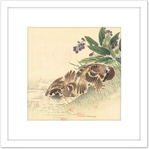 Artery8 Kono Bairei Bathing Tree Sparrow Japan Woodblock 8X8 Inch Square Wooden Framed Wall Art Print Picture with Mount in White White Artery8 Kono Bairei Bathing Tree Sparrow Japan Woodblock 8X8 Inch Square Wooden Framed Wall Art Print Picture with Mount in White White