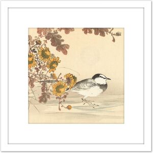 Artery8 Kono Bairei Wagtail Bird Flowers Japan Woodblock 8X8 Inch Square Wooden Framed Wall Art Print Picture with Mount in White White Artery8 Kono Bairei Wagtail Bird Flowers Japan Woodblock 8X8 Inch Square Wooden Framed Wall Art Print Picture with Mount in White White