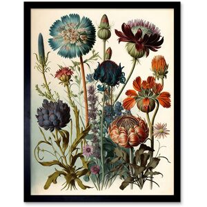 Artery8 Wall Art Print Vintage Botanical Ernst Haeckel Inspired Plant Study Modern Watercolour Painting Art Framed Size: W12" x H16" Multicolor W12" x H16" Artery8 Wall Art Print Vintage Botanical Ernst Haeckel Inspired Plant Study Modern Watercolour Painting Art Framed Size: W12" x H16" Multicolor W12" x H16"