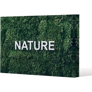 Benjamin Tate Design Wellness Nature (Canvas Print) / 31 x 41 x 4cm in Natural Size: 31 x 41 x 4 cm Natural 31 x 41 x 4 cm Benjamin Tate Design Wellness Nature (Canvas Print) / 31 x 41 x 4cm in Natural Size: 31 x 41 x 4 cm Natural 31 x 41 x 4 cm